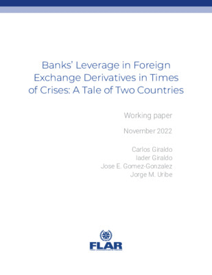 Documentos de trabajo | Banks Leverage in Foreign Exchange Derivatives in Times of Crises | 2022