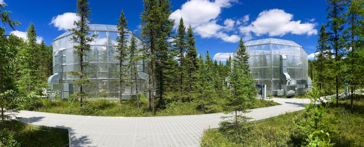 PhenoCams have an eye on the seasons at the SPRUCE ecosystem warming experiment
