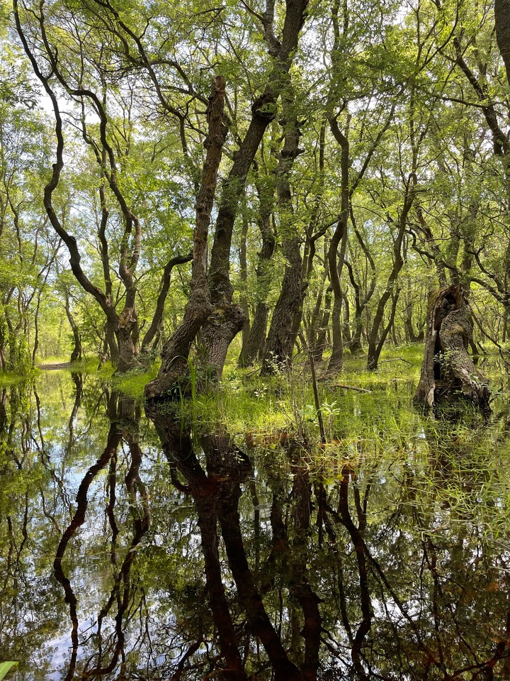 A PhD journey to assess the effectiveness of biosphere reserves worldwide