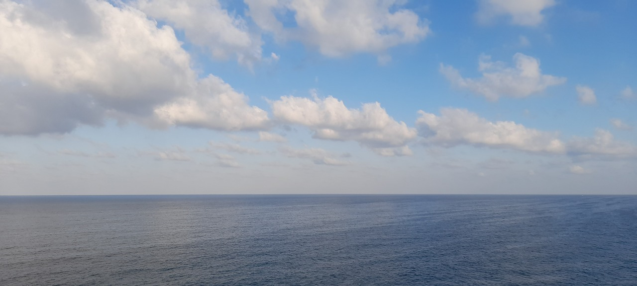 A Professor Once Upon the History ...