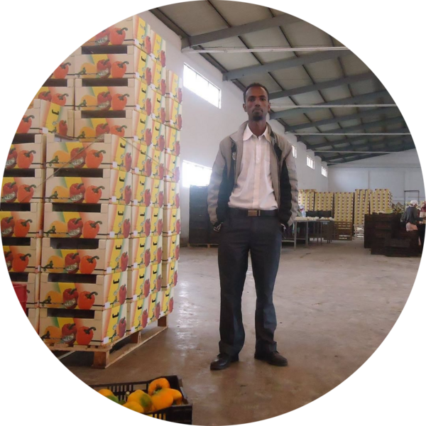 Go to the profile of Hailay Gebremedhin