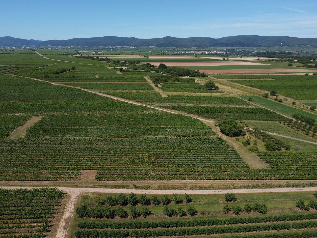 Current-use pesticides in vegetation, topsoil and water reveal contaminated landscapes of the Upper Rhine Valley, Germany