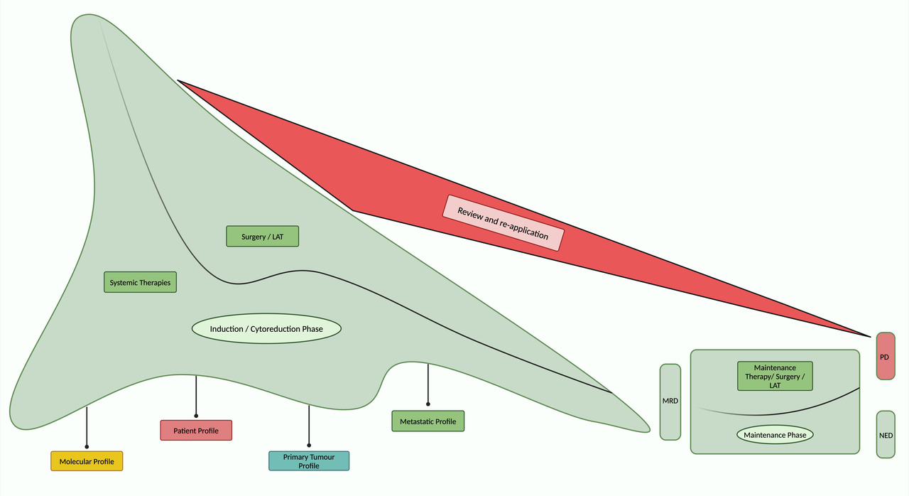 A Vision for Progress in Young-Onset Metastatic Colorectal Cancer