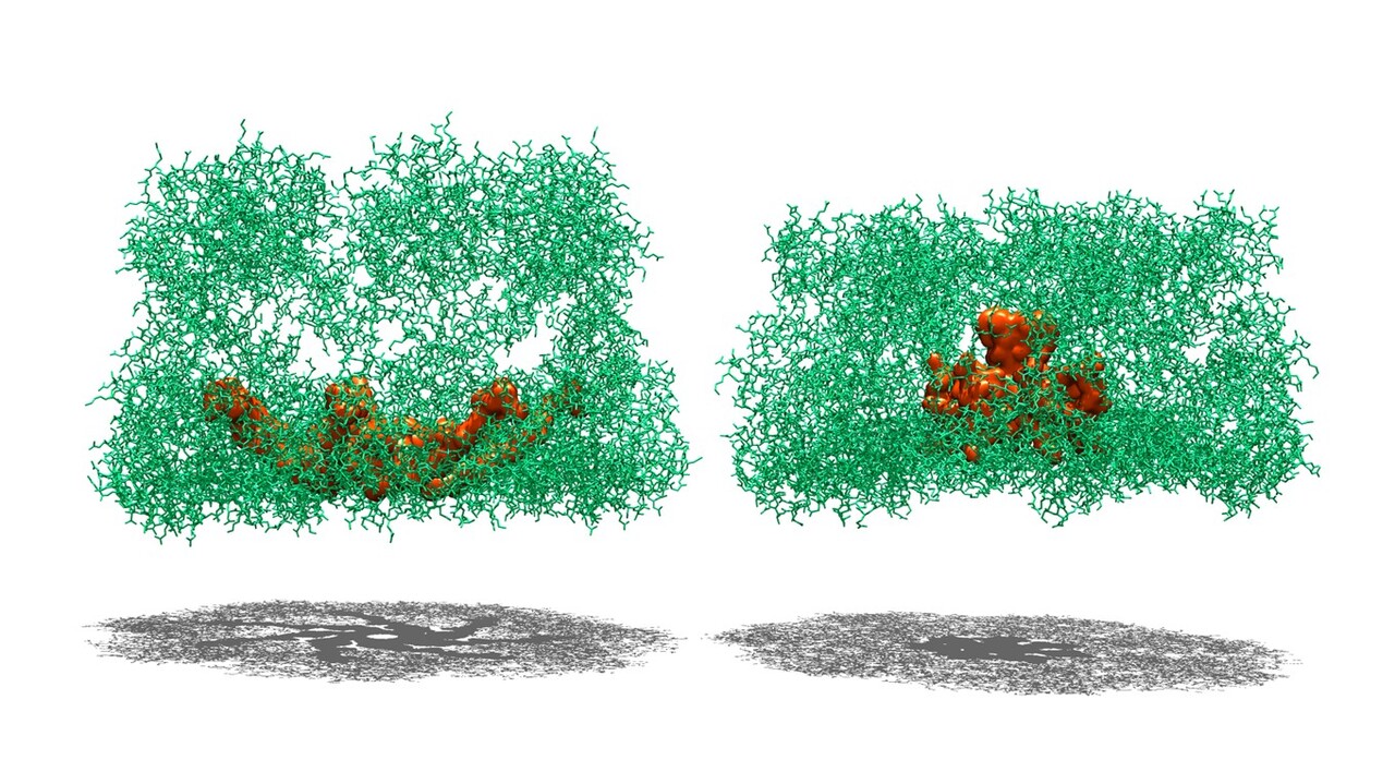 Vestiges are not Really Vestigial – carboxy termini drive chaperonin diversity?