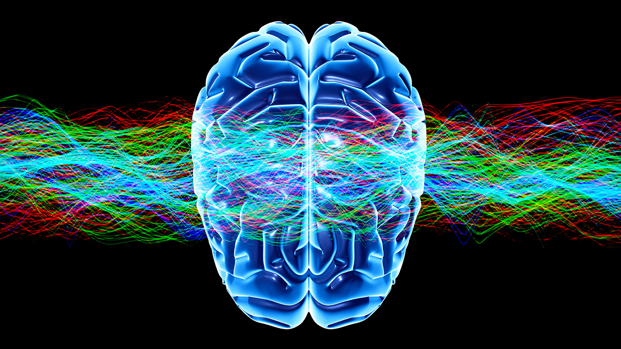 Ripples of Discovery: Mapping the Brain's Hierarchical Response Patterns