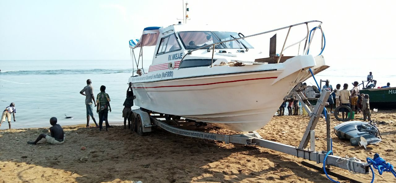 The bottom of the lake?