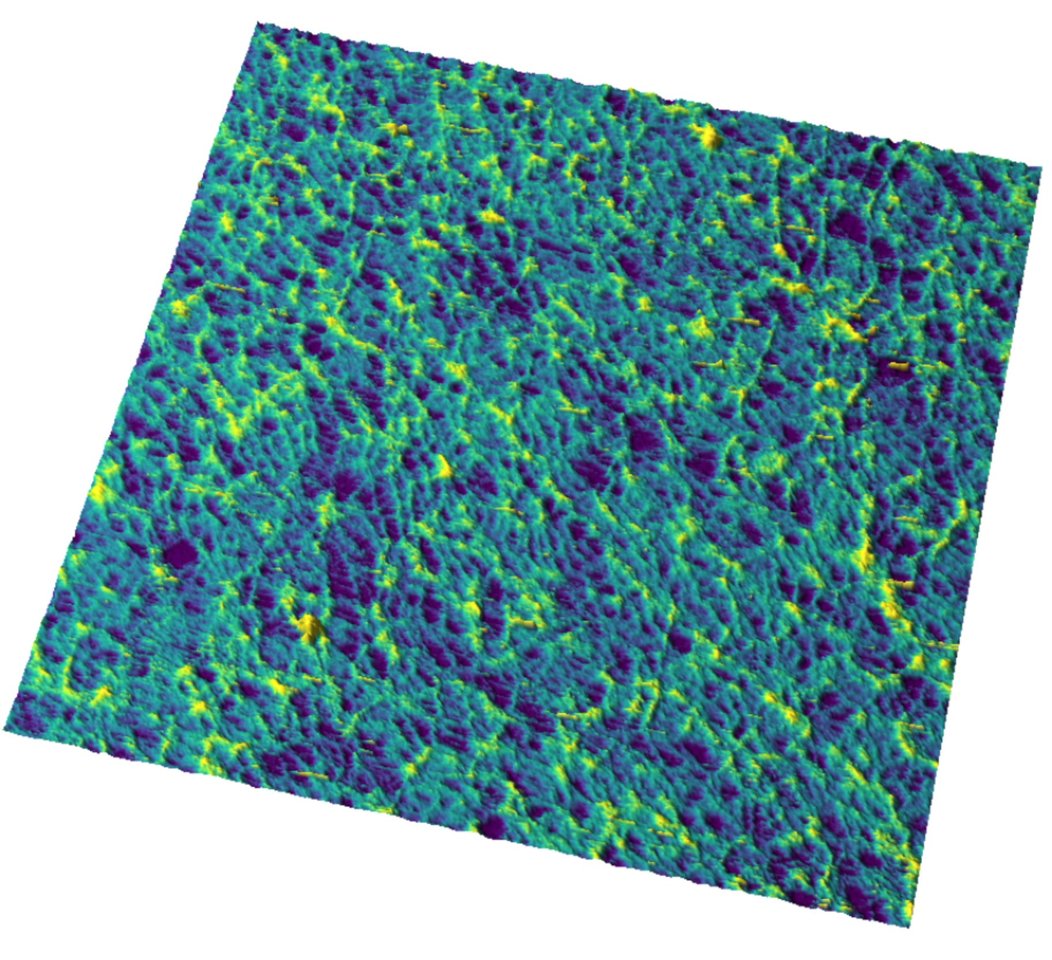 A new perspective on the bacterial cell wall