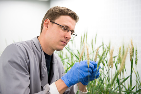 Go to the profile of Neil Brown