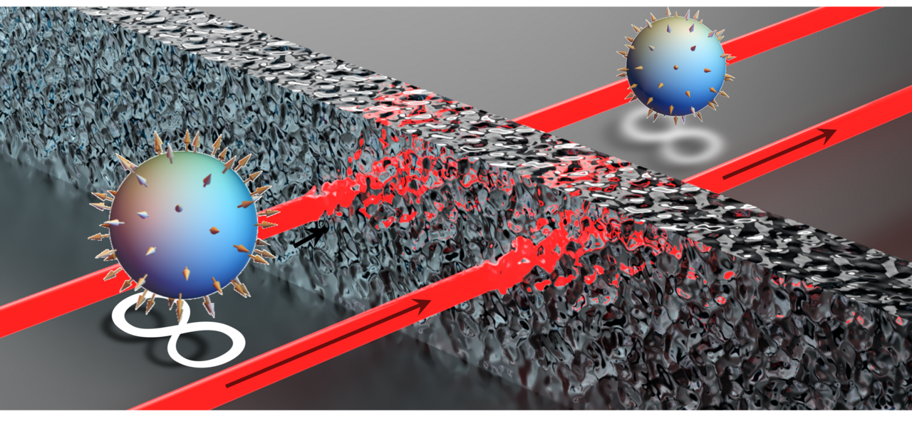 Quantum Skyrmions reject noise