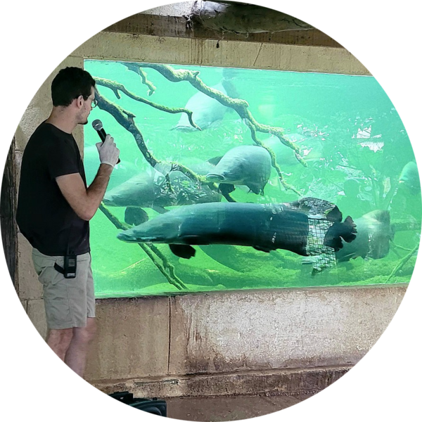 Go to the profile of Fabien RAOUANE