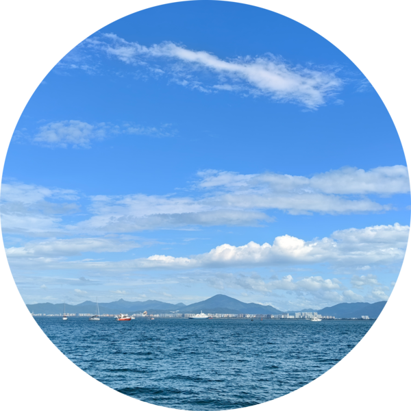 Go to the profile of Haoying Sun