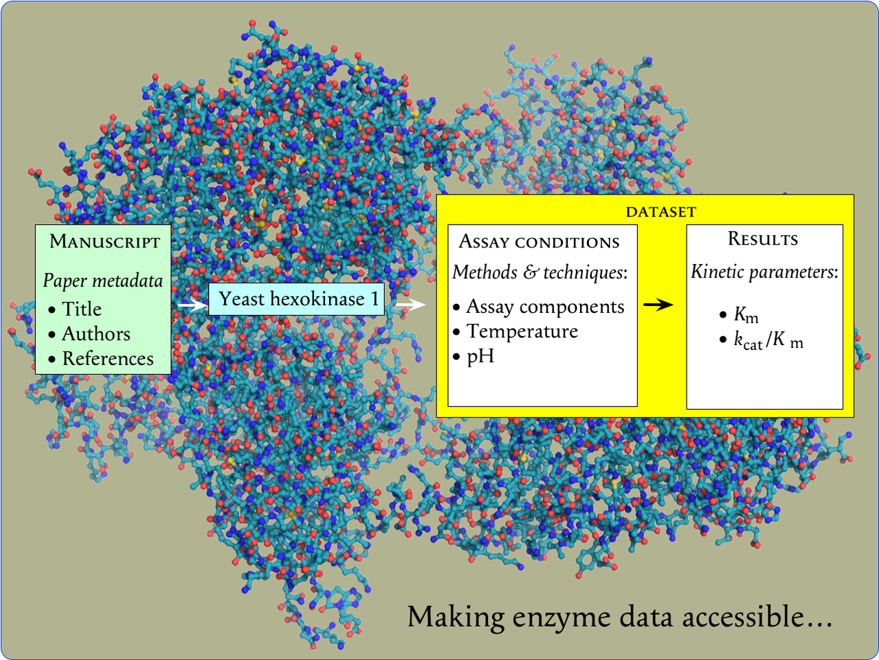 Making enzyme data fully accessible