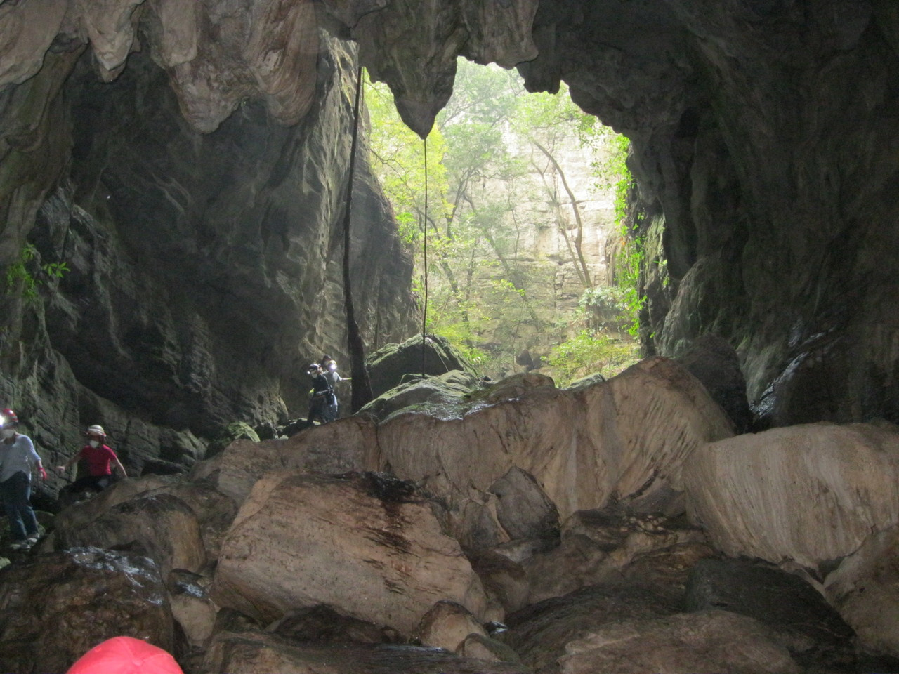 Sugar, Sugar. Why cavefish develop symptoms of diabetes but are not sick. 