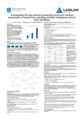 People, not Paywalls: Understanding AI adoption for Irish SMEs