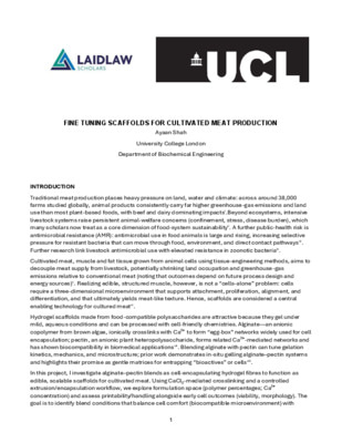 Fine Tuning Scaffolds For Cultivated Meat Production - Research Paper