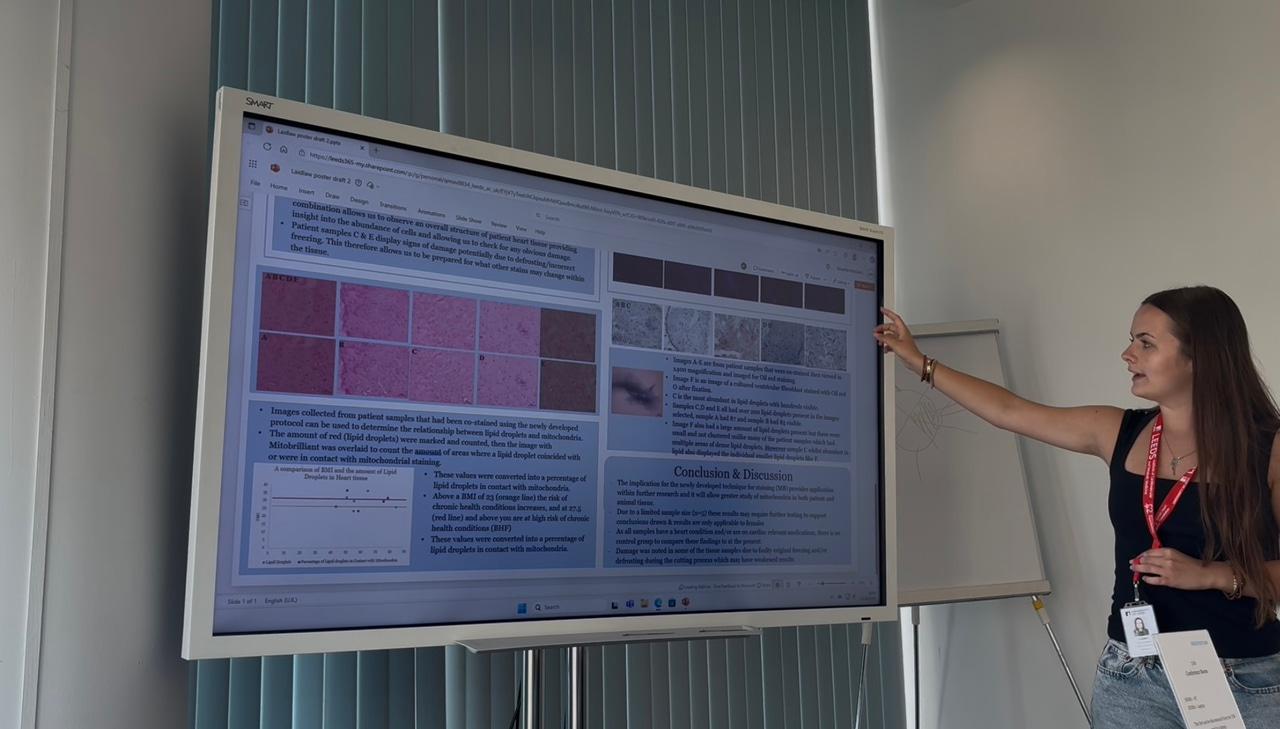 Continuing to Lead with Curiosity: My Evolving Research Journey  