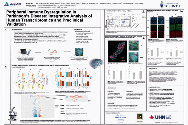 Research Poster: Peripheral Immune Dysregulation in PD: Integrative Analysis of Human Transcriptomics and Preclinical Validation