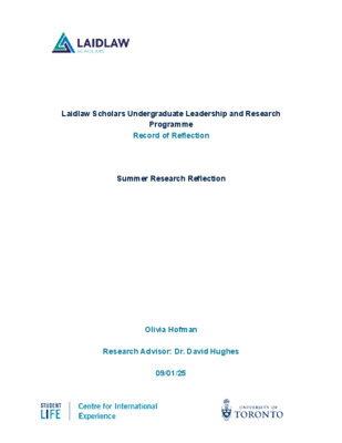 Summer Research Reflection