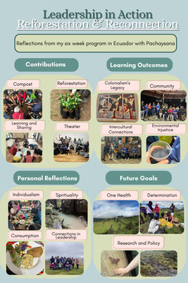 Reforestation_and_Reconnection