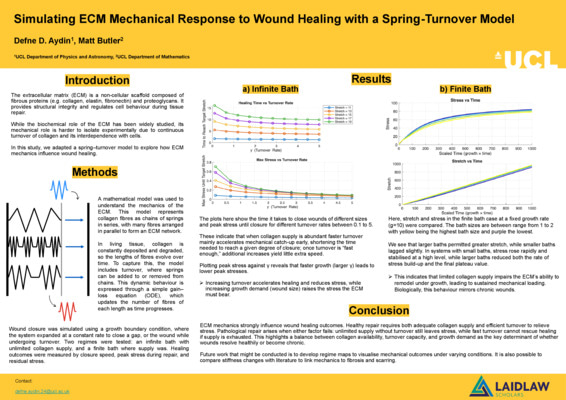 POSTER Simulating ECM Mechanical Response to Wound Healing with a Spring-Turnover Model