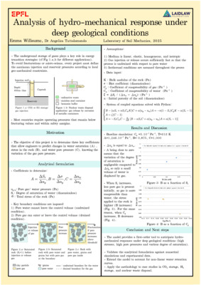 Analysis of hydro-mechanical response under deep geological conditions