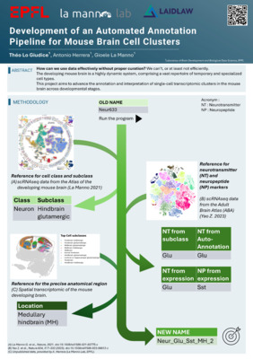 Development of an Automated Annotation Pipeline for Mouse Brain Cell Clusters