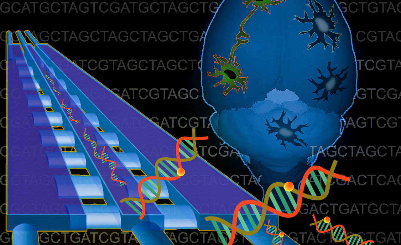 Using microfluidics to map brain epigenomes