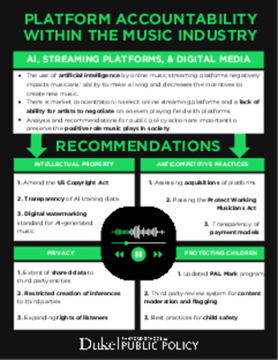Spotify, Generative AI, and the Future of Cultural Labor: Visual Deliverable #2