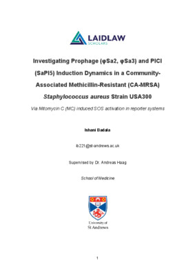 Research Essay: Investigating Mobile Genetic Element (MGE) Induction Dynamics in CA-MRSA, USA300