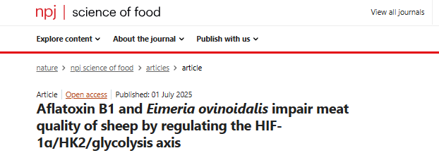 Aflatoxin B1 and Eimeria ovinoidalis impair meat quality of sheep by regulating the HIF-1ɑ/HK2/glycolysis axis