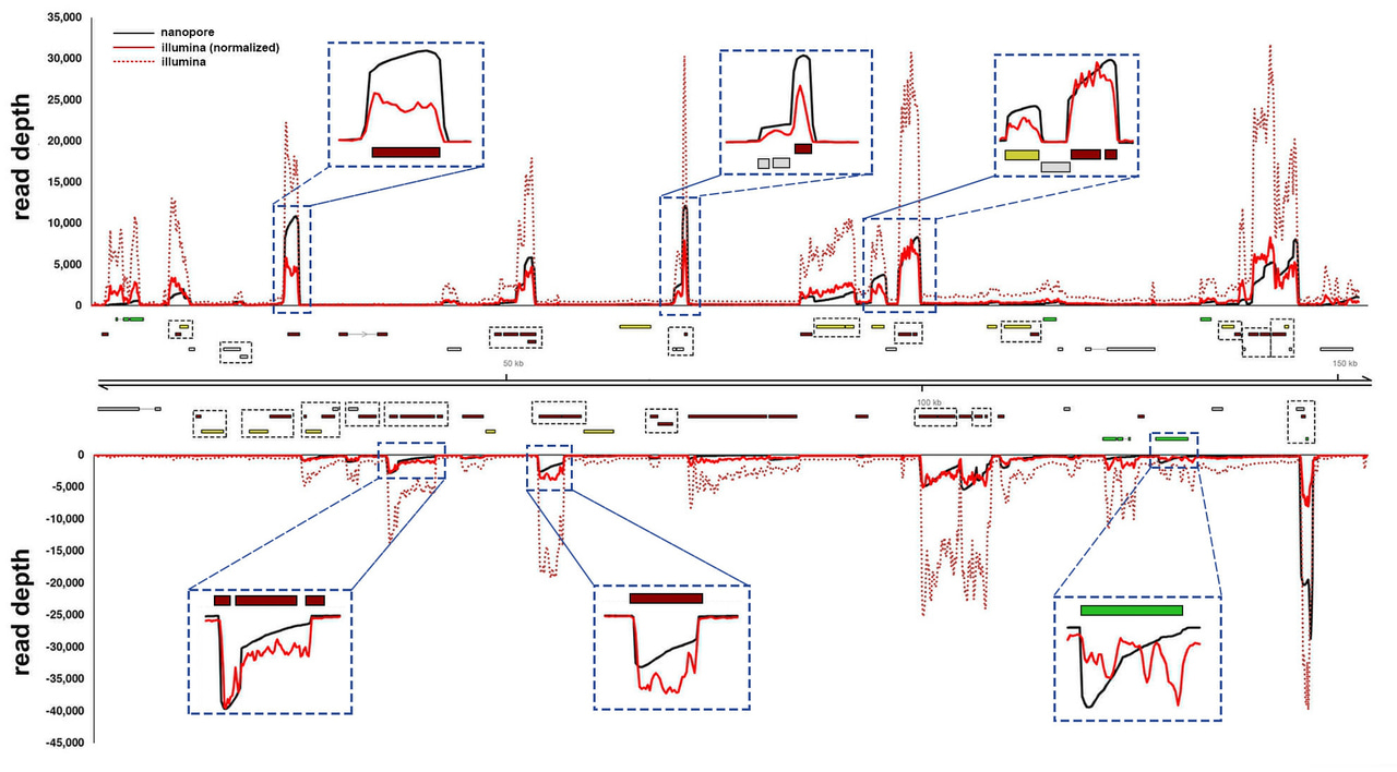 New adventures in viral RNA sequencing using nanopore arrays