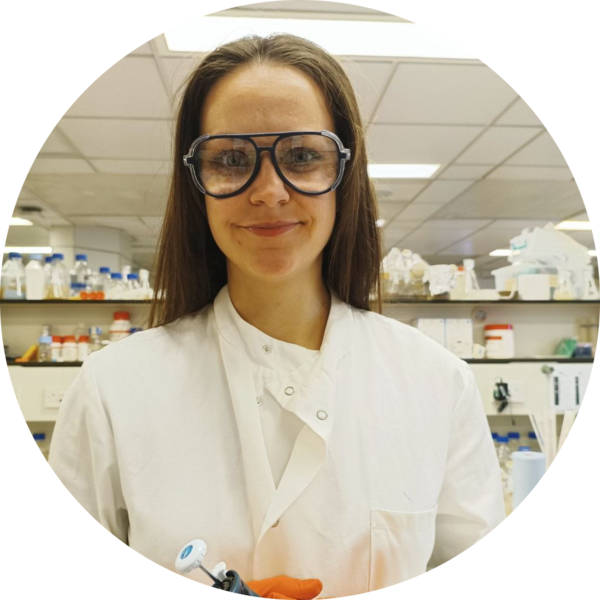 Go to the profile of Mariia Loboda