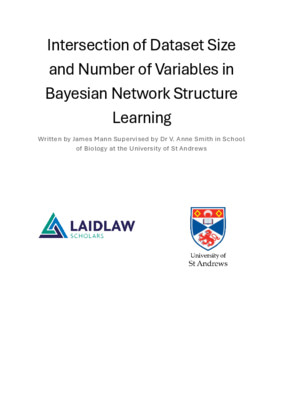 Research Essay: Bayesian Networks