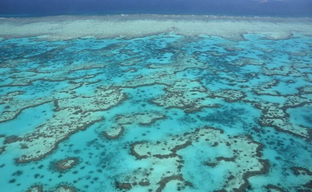 Acid oceans will dissolve coral reef sands