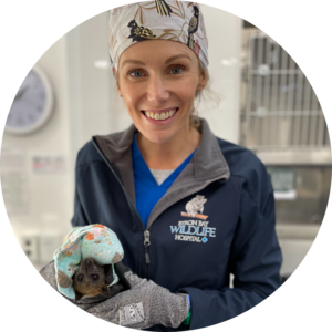 Go to the profile of Bree