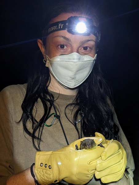 Go to the profile of Charley Bird