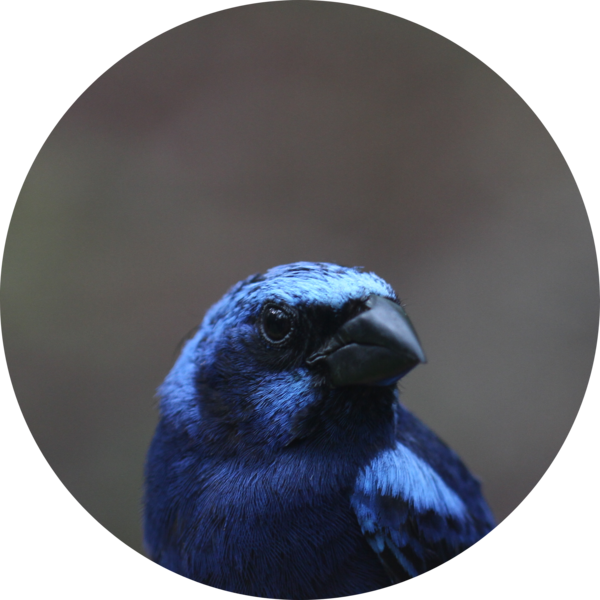 Go to the profile of Abbie