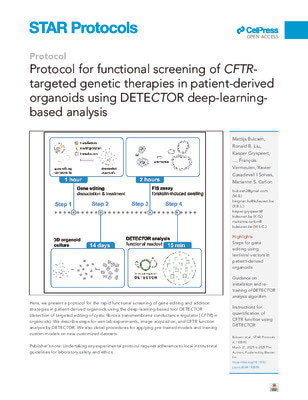 Functional readout of CFTR-targeted gene therapies in patient-derived organoids using DETECTOR, a deep-learning-based analysis tool