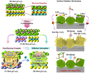 Constructing Double Heterojunctions on 1T/2H‑MoS2@Co3S4 Electrocatalysts for Regulating Li2O2 Formation in Lithium‑Oxygen Batteries