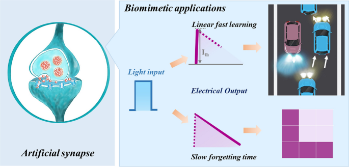 Low Energy Consumption Photoelectric Memristors with Multi‑Level Linear Conductance Modulation in Artificial Visual Systems Application
