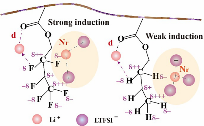 Induction Effect of Fluorine-Grafted Polymer-Based Electrolytes for High-Performance Lithium Metal Batteries