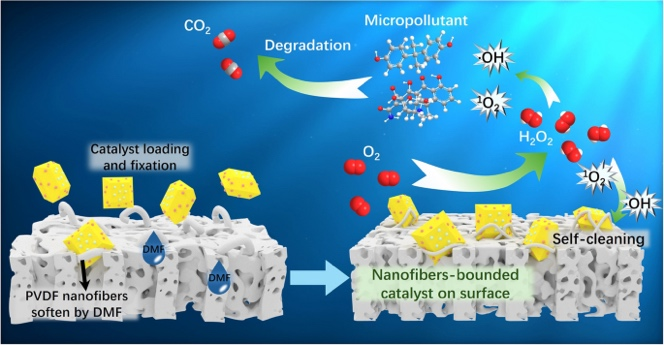 Binder-Free Immobilization of Photocatalyst on Membrane Surface for Efficient Photocatalytic H2O2 Production and Water Decontamination