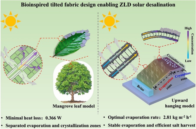 Nature‑Inspired Upward Hanging Evaporator with Photothermal 3D Spacer Fabric for Zero‑Liquid‑Discharge Desalination