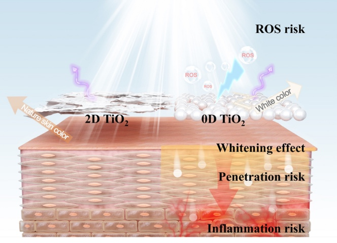 Two-Dimensional TiO2 Ultraviolet Filters for Sunscreens