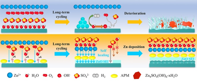 Aspartame Endowed ZnO-Based Self-Healing Solid Electrolyte Interface Film for Long-Cycling and Wide-Temperature Aqueous Zn-Ion Batteries