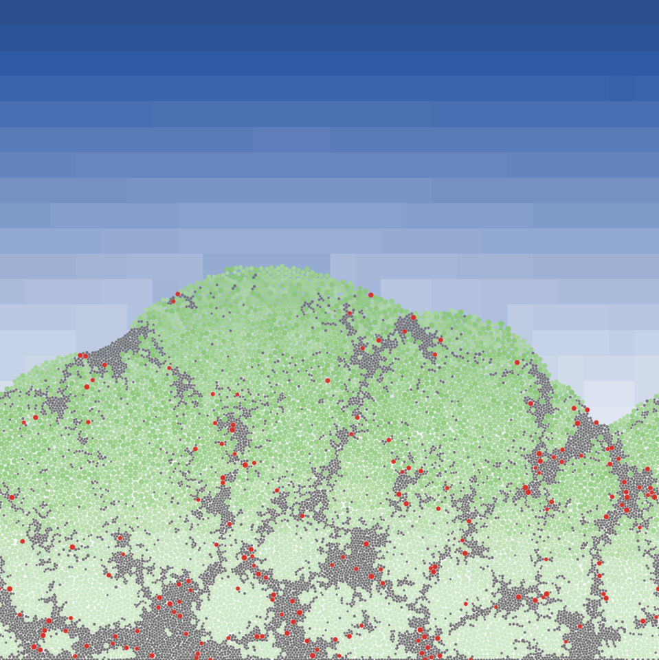 Biofilm antibiotic resilience