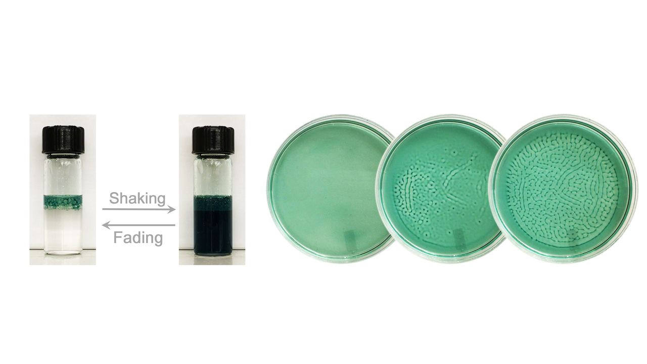 Unexpected fascinating spatiotemporal dynamics from a classic enzyme cascade