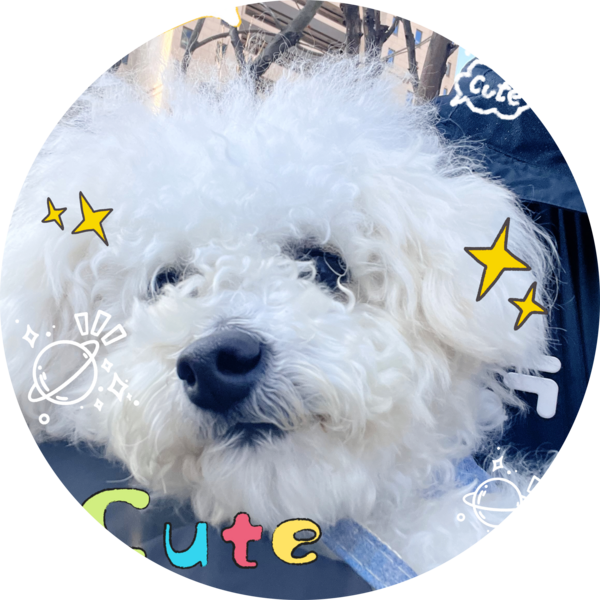 Go to the profile of Yanggang Hong