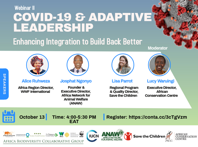Covid 19 and Adaptive Leadership Webinar