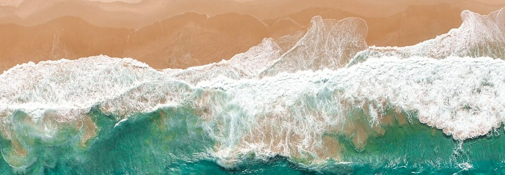 Apply for a UK marine conservation training bursary